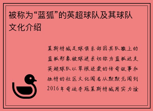 被称为“蓝狐”的英超球队及其球队文化介绍