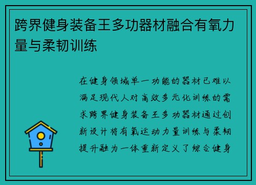 跨界健身装备王多功器材融合有氧力量与柔韧训练